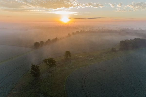 Day, Richard and Susan 아티스트의 Sunrise and fog-Marion County-Illinois작품입니다.